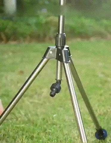 Popular